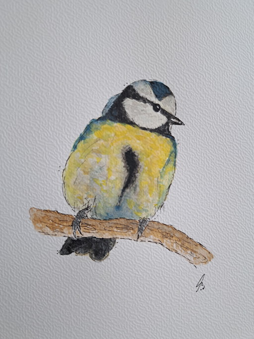 Watercolor painting Blue Tit