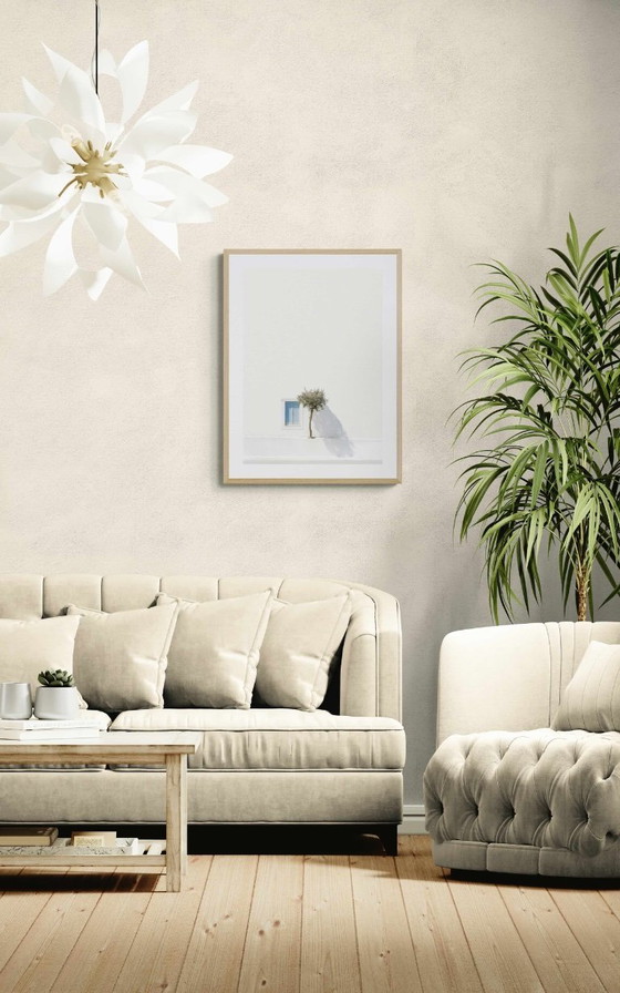 Image 1 of Olivo greco - edizione limitata a 25 esemplari