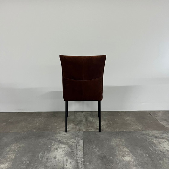Bliss Set di 6 – Bert Plantagie, Sedie da pranzo (photo 3 of 6)