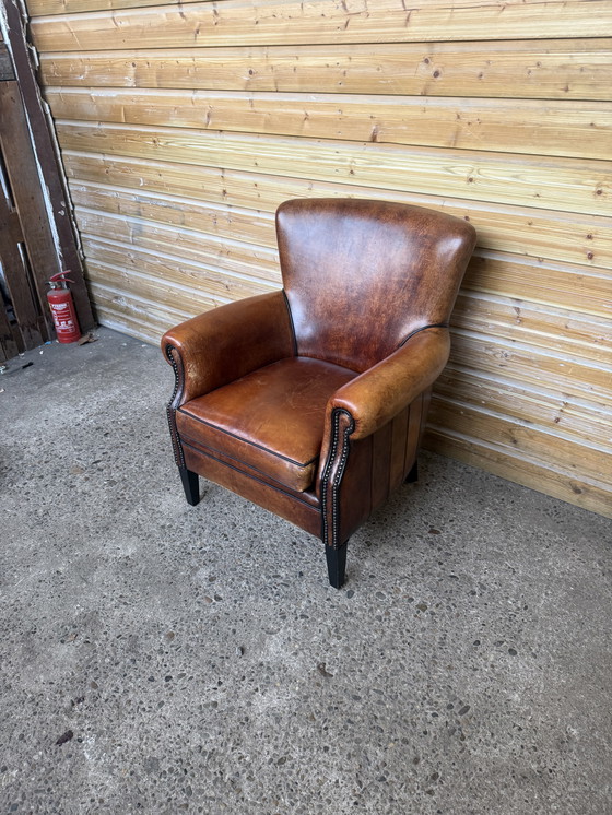 Image 1 of Lounge Atelier fauteuil schapenleer kwaliteitsleer