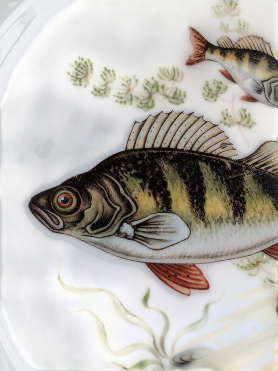 Image 1 of Rarità! Servizio vintage di porcellana con motivi di pesci e bordo dorato | Hutschenreuther, Selb, Eschenbach | Dipinto a mano