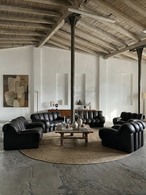 DIVANO MODULARE DE SEDE DS-600 “TATZELWURM” / “SNAKE” MARRONE SCURO 26 ELEMENTI SVIZZERA ANNI '80