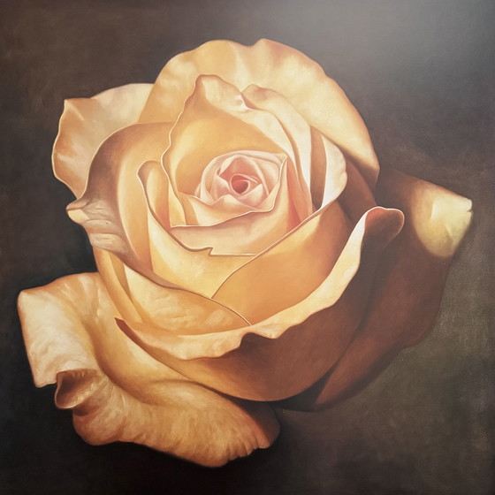 Image 1 of Franco Campana: "Yellow Rose".

Signed in the Plate.
Beautiful colors!