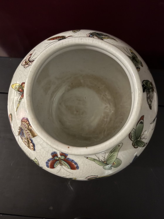 Chinese 100 Butterflies Vase Hand-Painted – Asian vases from holland, Porcelain (photo 5 of 8)
