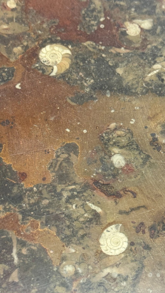 Image 1 of Mesa de centro Fossil de Ronald Schmit (mármol)