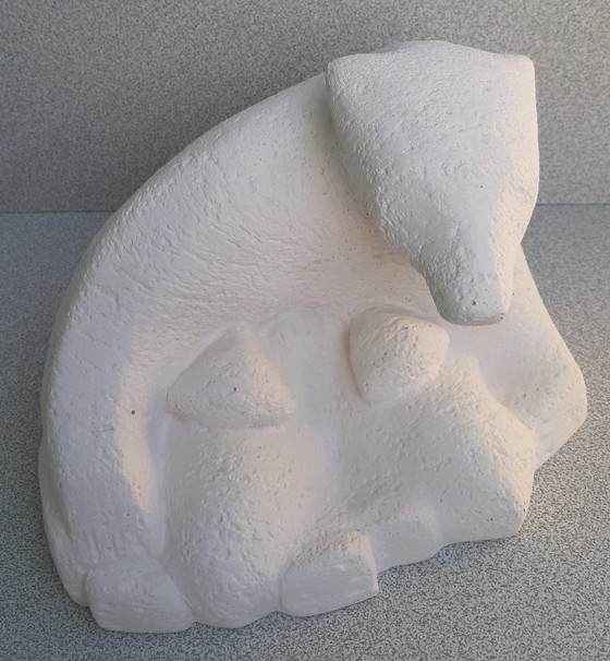 Image 1 of Poolbeer met welpen Orhan Otay