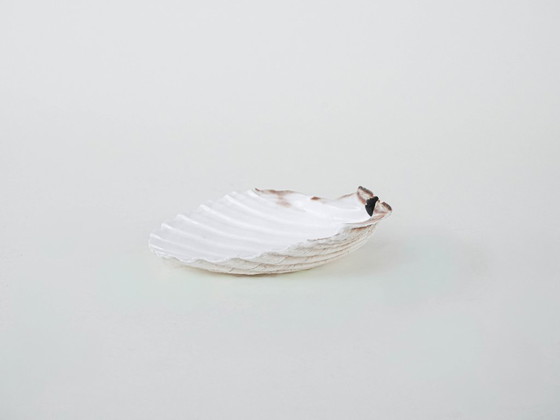 Image 1 of Coquillage décoratif, style bohème, années 1980