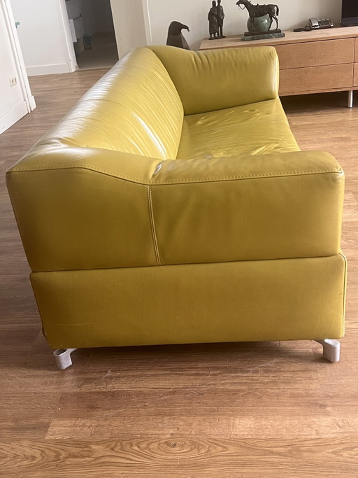 Leolux Faya Lobi 3-Sitzer Ledersofa