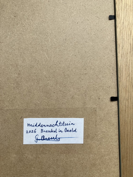 Image 1 of Midnight Garden