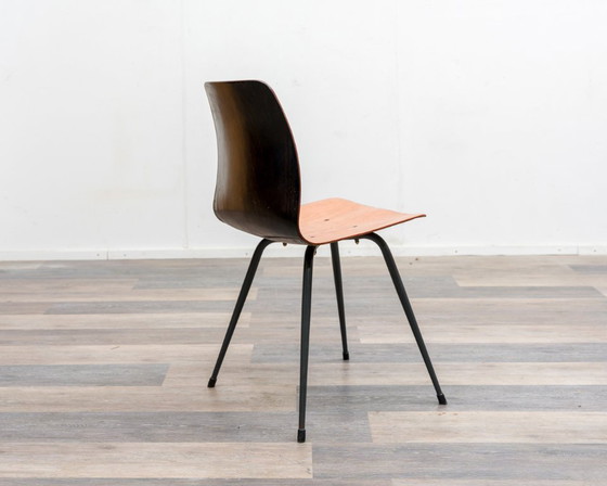 Image 1 of 6er Set Pagholz-Stühle in zweifarbiger Ausführung, Hersteller Pag Presswerke.