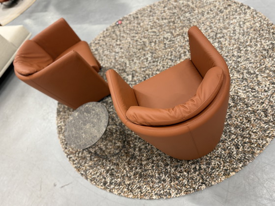 Image 1 of 2 Leolux Suva Fauteuils Wapiti Hawk leer 