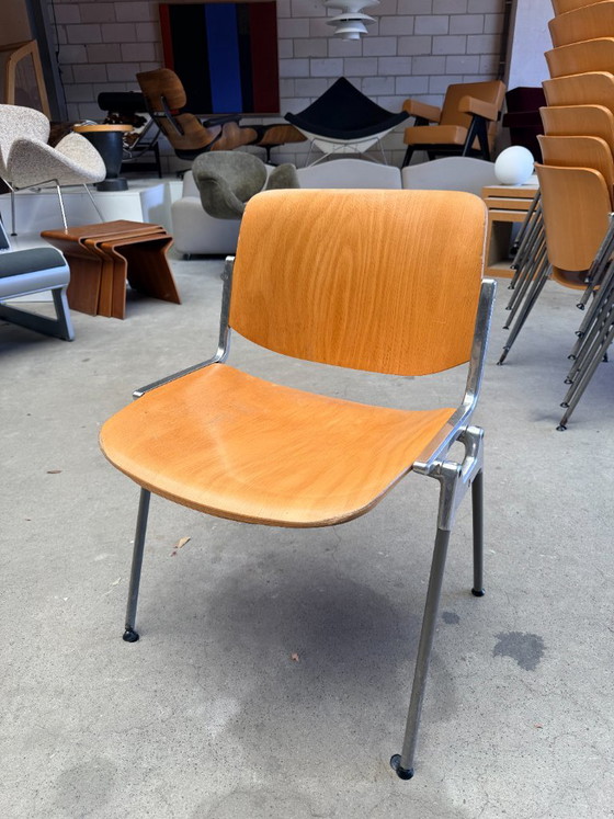Castelli DSC106 chair, Giancarlo Piretti (stock: 8) – Dining chairs, Wood, Aluminium (photo 8 of 10)