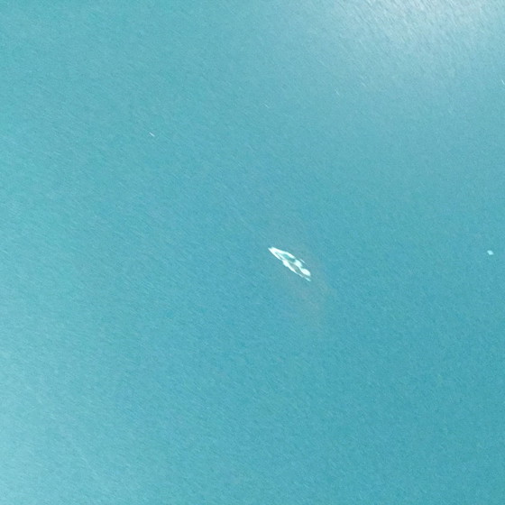 Image 1 of Leolux Pampa coffee table