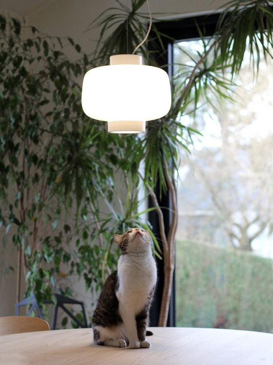 Image 1 of 3x Hem Dusk Pendant Lamp Large Ivory. Glossy. New in box