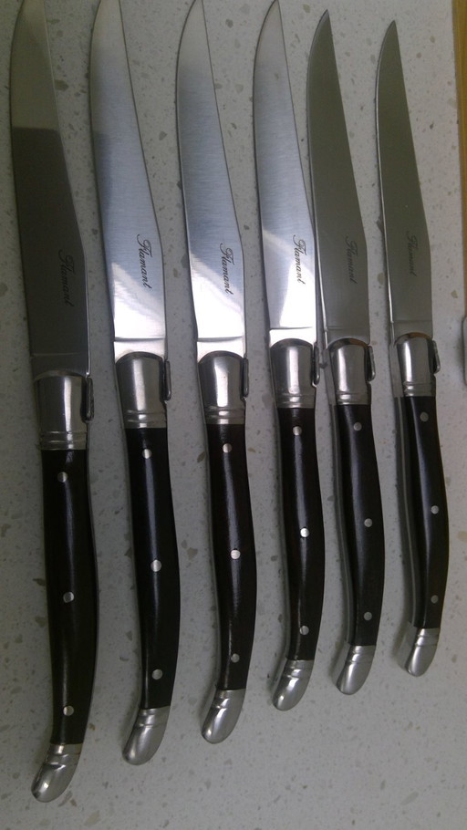 Box of 6 table knives Flamant