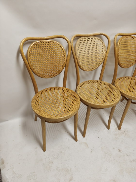 Set Van 4 Vintage Thonet Caféstoelen – ZPM Radomsko – Eetkamerstoelen, Rattan, Wood (photo 3 of 8)