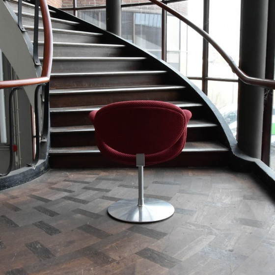 Artifort Little Tulip chair, Dining chairs, Textile, Metal, Red, Modern (photo 5 of 8)