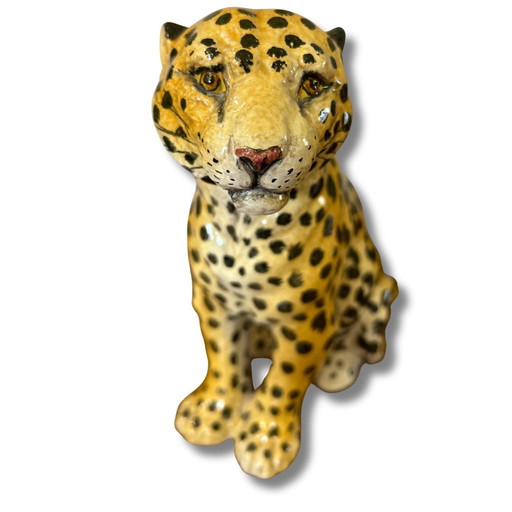 Terracotta Baby Leopard, Handbmalt, Italien, 1970er Jahre