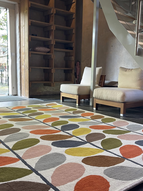 Image 1 of Brink and Campman Orla Kiely Classic Multi Stem