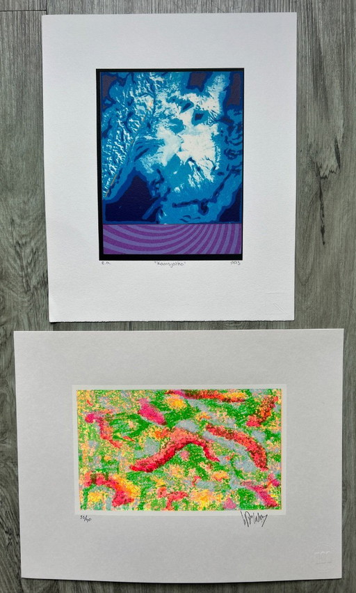 2x serigrafía Wout van der Vet