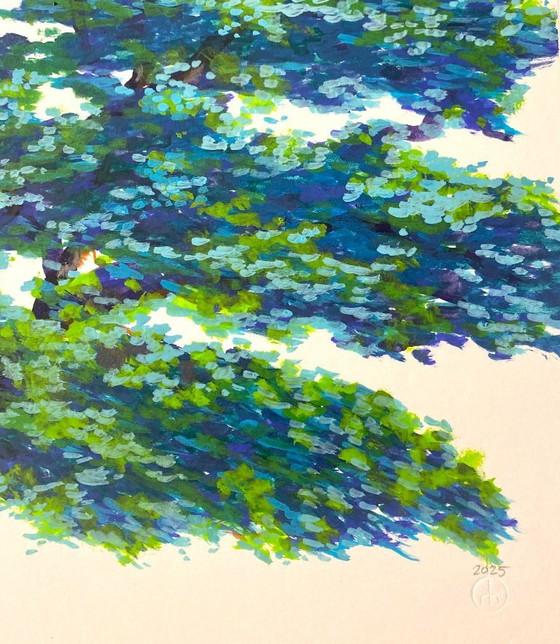 Image 1 of Lebanese Cedar