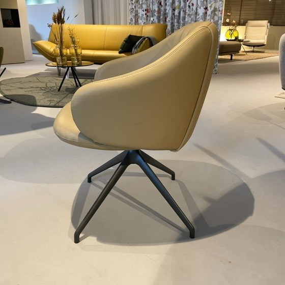 Image 1 of Leolux Baani dining chair (set of 4)