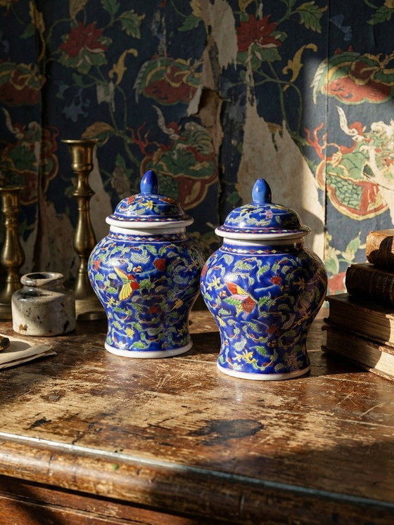 2 Vasi da zenzero cinesi vintage in porcellana smaltata a mano, Chine vintage, Oggetti decorativi, Multicolore (foto 2 di 17)