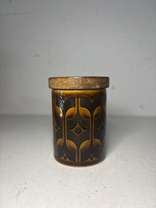 6x spice jar vintage 1973 Hornsea Heirloom England