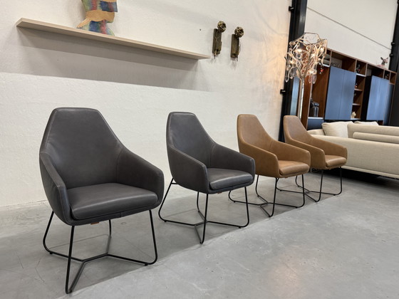 Image 1 of 4 Mostra modello Montis Lazy Vico sedie da pranzo in pelle