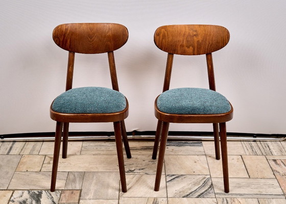Image 1 of Juego de 4 sillas de comedor, TON, década de 1960, Checoslovaquia
