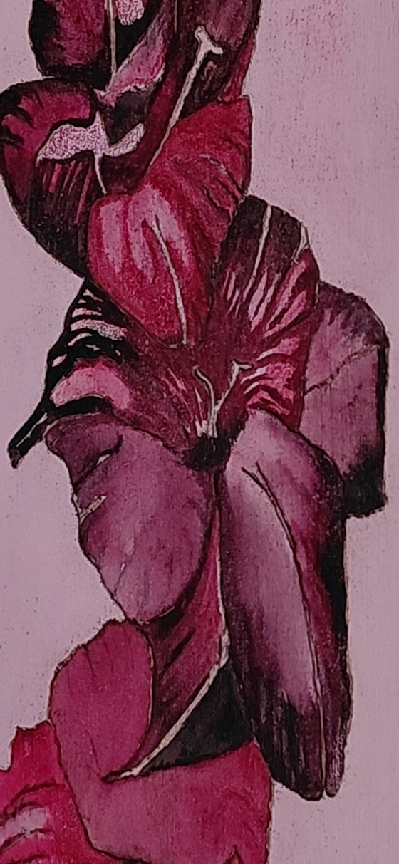 Image 1 of Galerie « L'Étoile Noire Mystérieuse » Suncorner