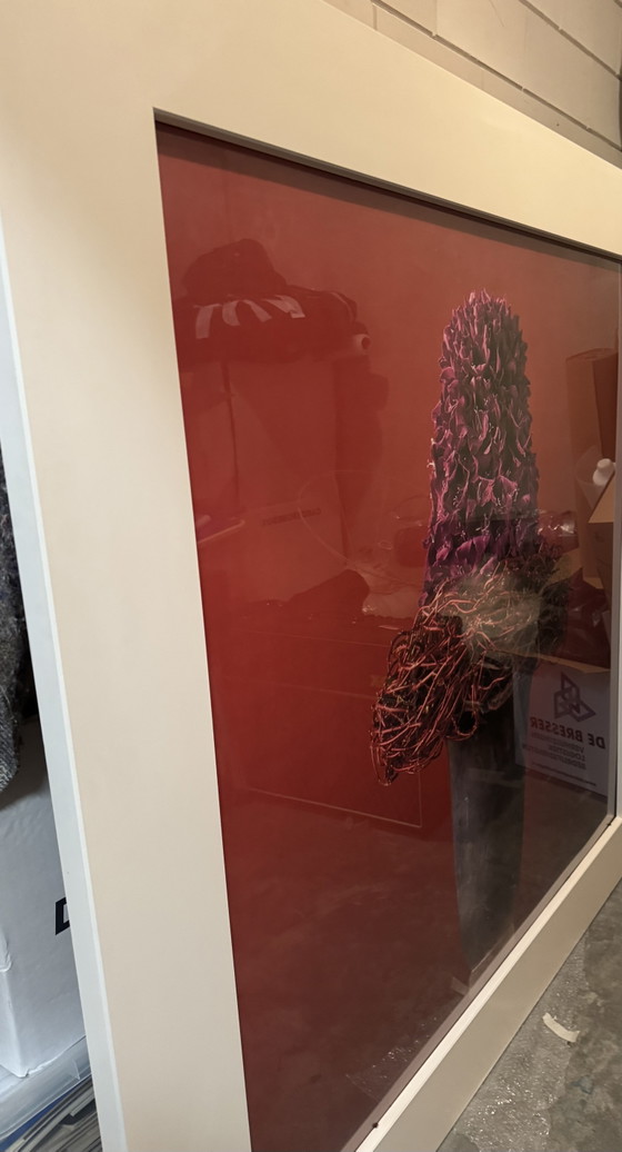 Image 1 of Exclusive photo in frame 
