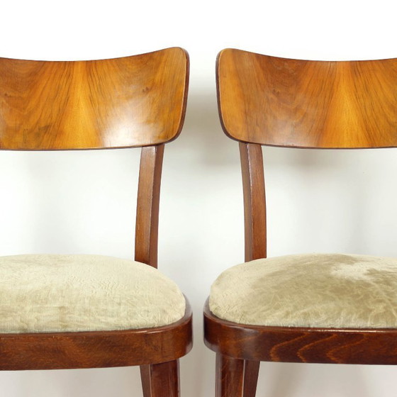 Image 1 of Set Of 4 Dining Chairs By Tatra, Czechoslovakia 1960s