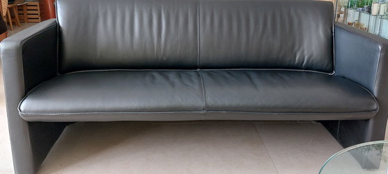 Image 1 of Leolux Fiabo Sofa. 1 oder 2 Stück