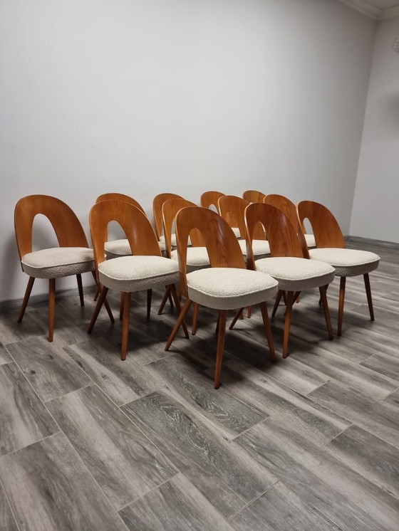Image 1 of Dining Chairs from Antonin Suman, set of 12