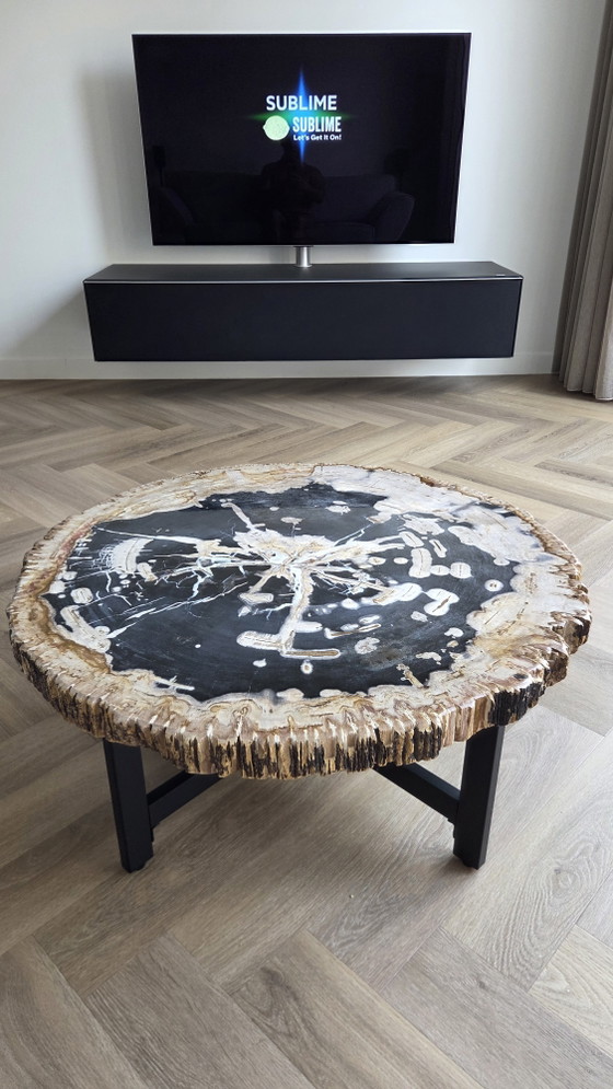 Versteinerter Baumstamm Couchtisch!!! – Couchtische, Metal, Stone (photo 2 of 8)