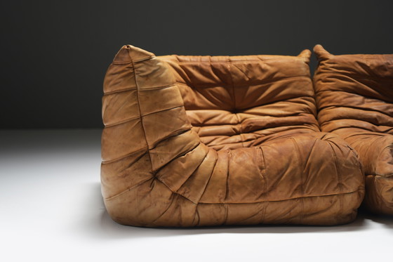 Image 1 of Perfect Rich Patinated Togo in Original Natural Leather by Michel Ducaroy - Ligne Roset