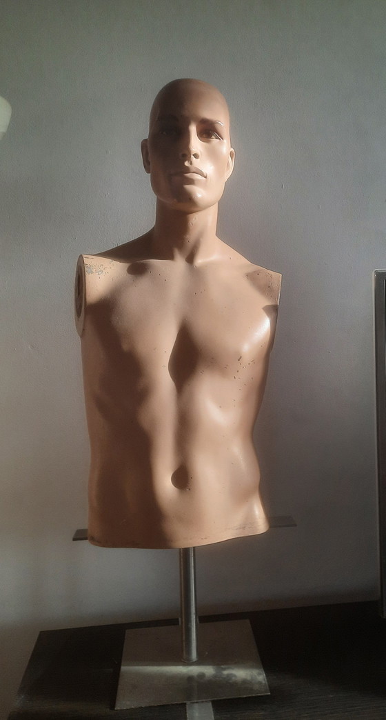 Image 1 of Torso di manichino maschile