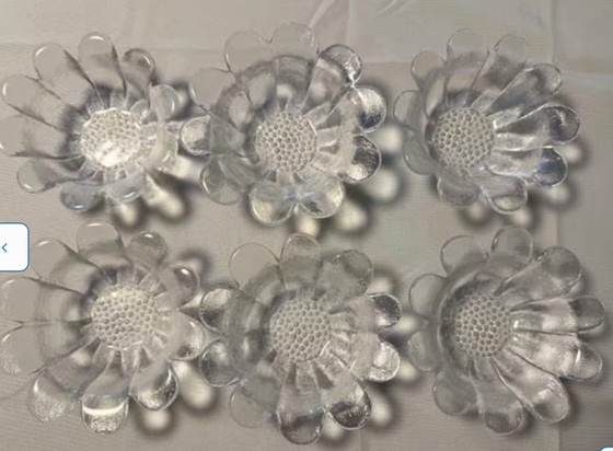 Image 1 of Cuencos Wedgwood Daisy 6x