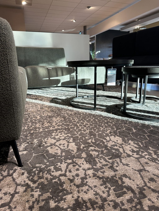 Schlange - - 200x290cm *