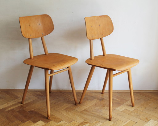 Pair of Dining Chairs by Antonin Suman for TON