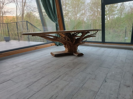 Image 1 of Noble Root - Der Inbegriff von Bio-Luxus