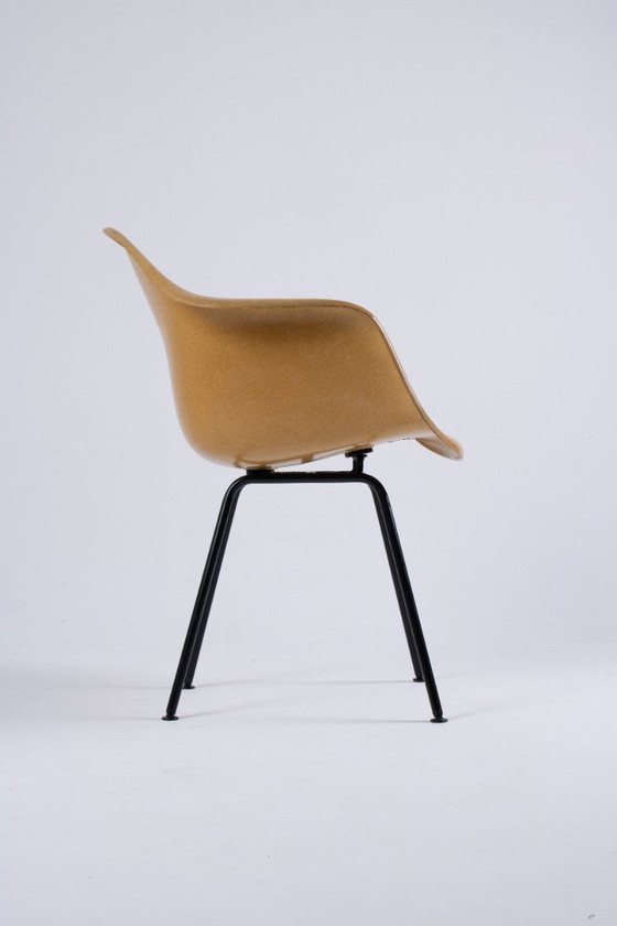 Image 1 of DAX Eames en fibre de verre – Light Ocre – Herman Miller / Vitra – circa 1965-1975