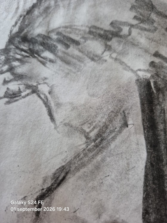 Henry Matisse Stijl – Schilderijen & Tekeningen, Paper (photo 6 of 6)
