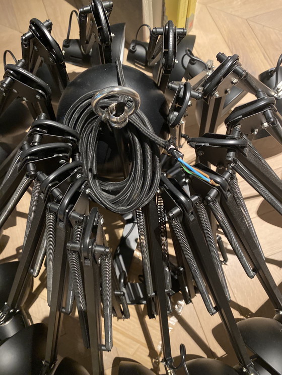 Image 1 of Dear Ingo Moooi, original! New condition.