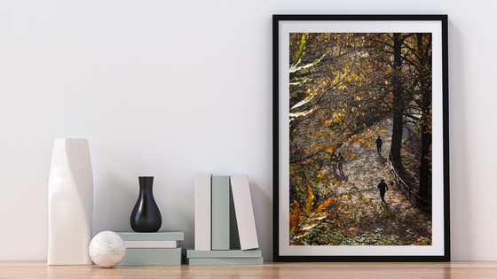 Image 1 of Varias fotografías / A todo color / Impresión profesional