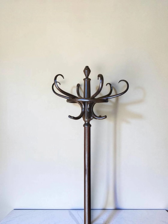 Appendiabiti a pappagallo in legno curvato di Thonet – Wood, Art Deco (photo 3 of 8)