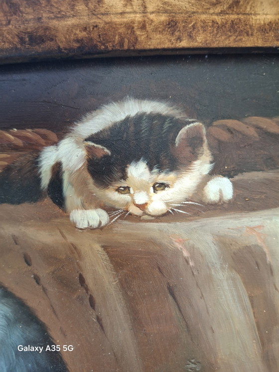 Image 1 of Antiek olieverfschilderij "Drie kittens in een mandje", olieverf op hout, gesigneerd Frey, sierlijke lijst.