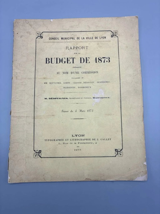 Report on the Budget of 1873 – Municipal Council of the City of Lyon – Mr. Despeignes, Rapporteur – giclee prints, Paper