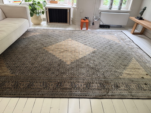 Ice International, Rugs tapijt